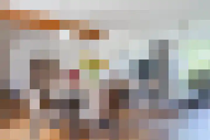 Koningin Julianastraat 8 Bergeijk thumbnail 8
