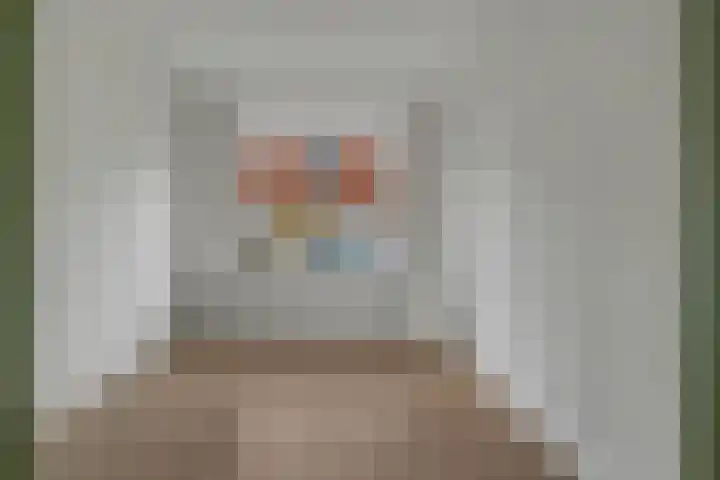 Koningin Julianastraat 8 Hoedekenskerke thumbnail 11