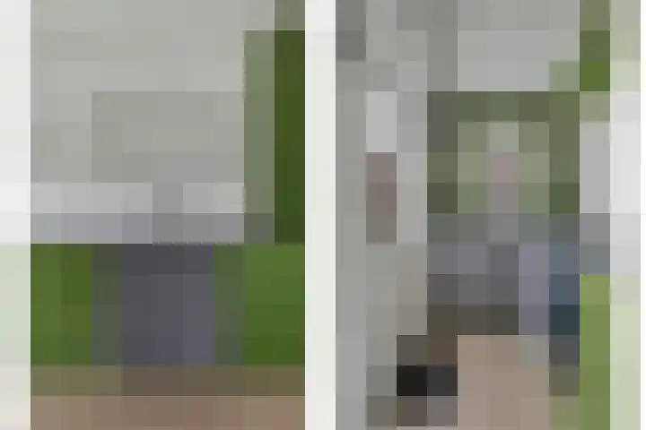 Koningin Julianastraat 8 Hoedekenskerke thumbnail 12