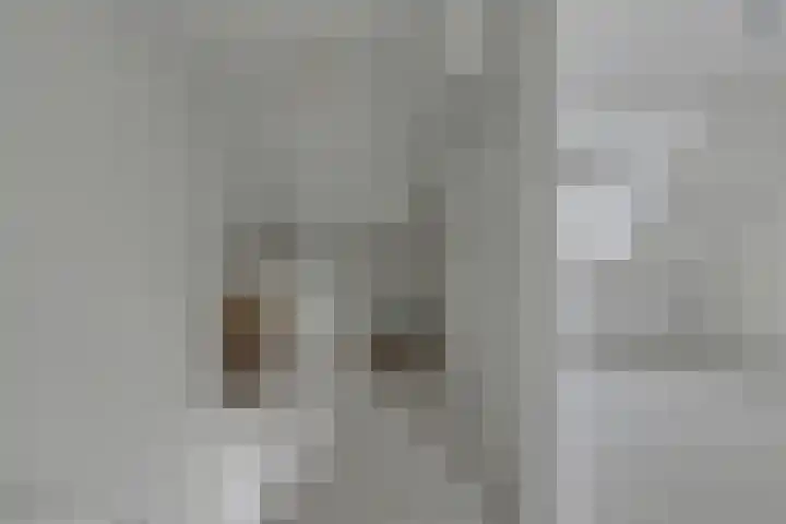 Koningin Julianastraat 8 Hoedekenskerke thumbnail 13