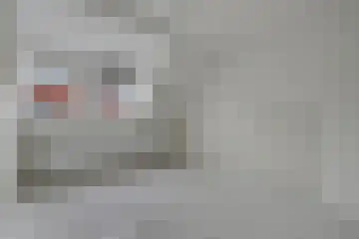 Koningin Julianastraat 8 Hoedekenskerke thumbnail 14