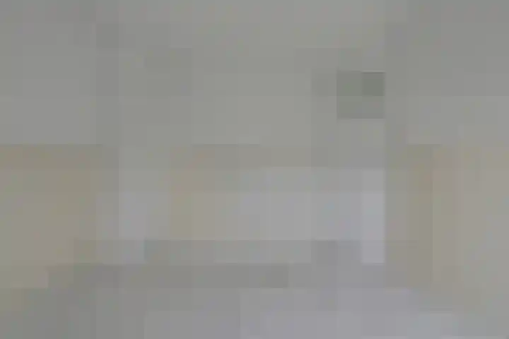 Koningin Julianastraat 8 Hoedekenskerke thumbnail 15