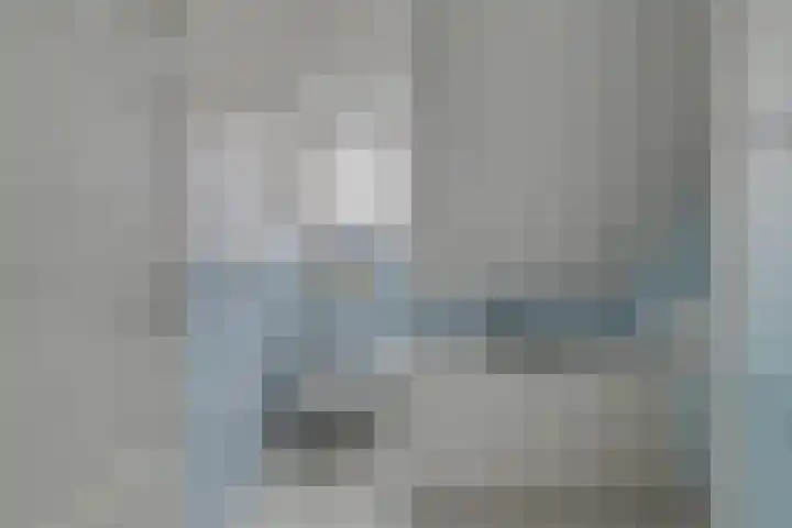 Koningin Julianastraat 8 Hoedekenskerke thumbnail 18