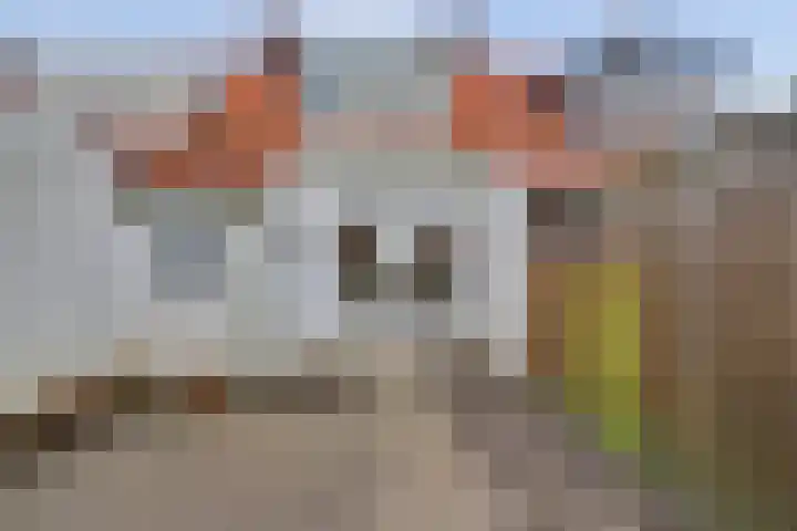 Koningin Julianastraat 8 Hoedekenskerke thumbnail 22