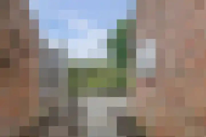 Koningin Julianastraat 8 Hoedekenskerke thumbnail 23