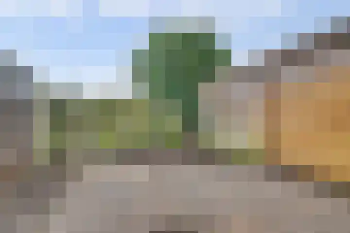 Koningin Julianastraat 8 Hoedekenskerke thumbnail 24