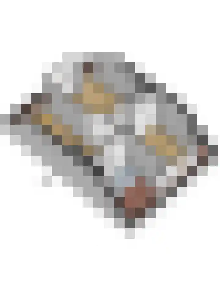 Koningin Julianastraat 8 Hoedekenskerke thumbnail 27