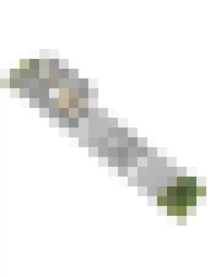 Koningin Julianastraat 8 Hoedekenskerke thumbnail 29
