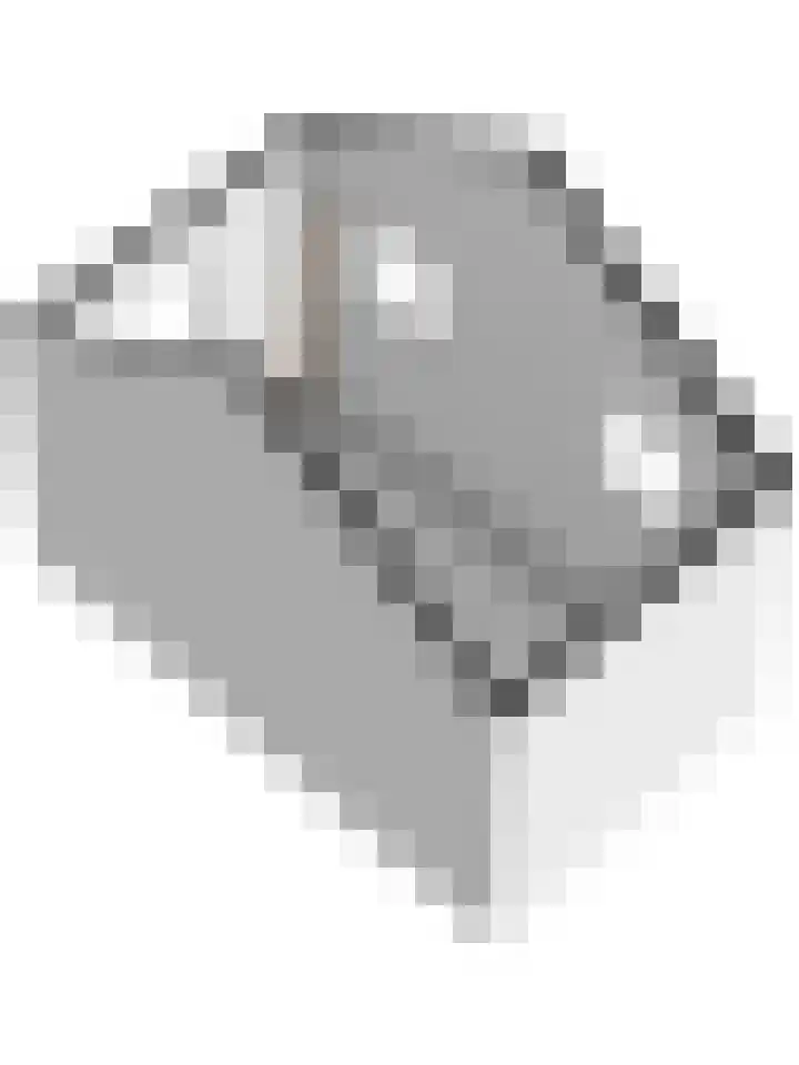 Koningin Julianastraat 8 Hoedekenskerke thumbnail 30