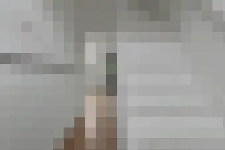 Koningin Julianastraat 8 Hoedekenskerke thumbnail 7