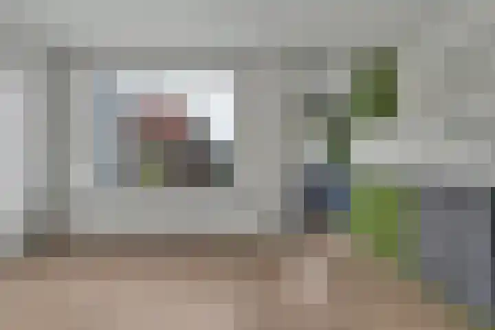 Koningin Julianastraat 8 Hoedekenskerke thumbnail 8