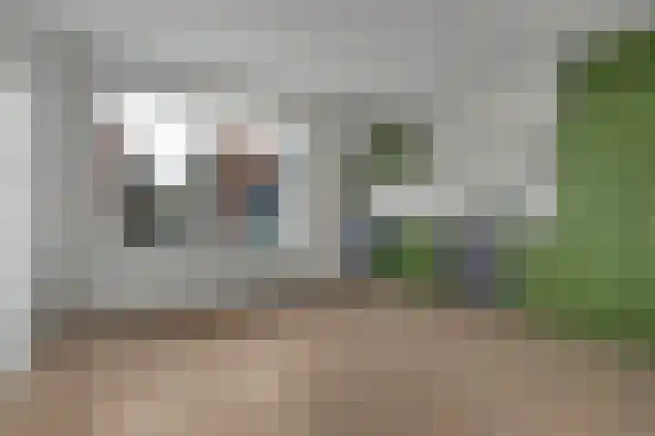 Koningin Julianastraat 8 Hoedekenskerke thumbnail 9