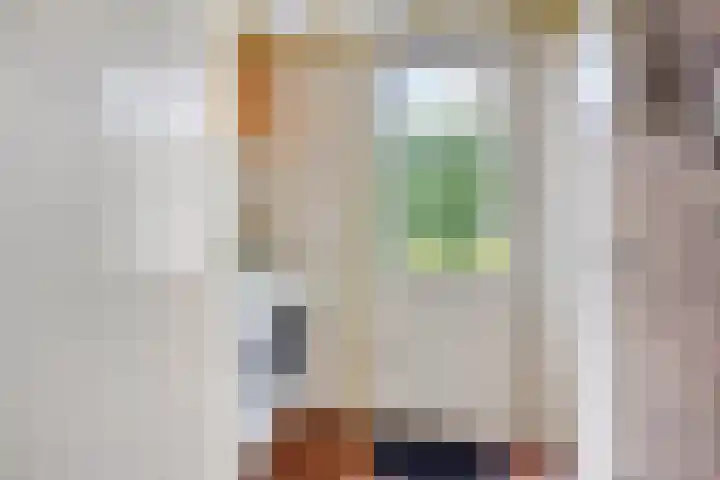 Koningin Julianastraat 80 Smilde thumbnail 13