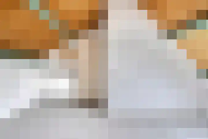 Koningin Julianastraat 80 Smilde thumbnail 22
