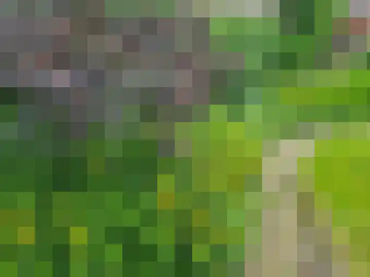 Koningin Julianastraat 80 Smilde thumbnail 28