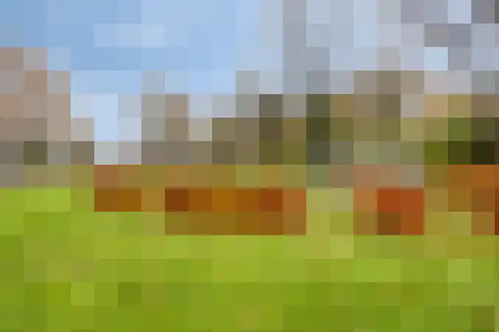Koningin Julianastraat 80 Smilde thumbnail 32