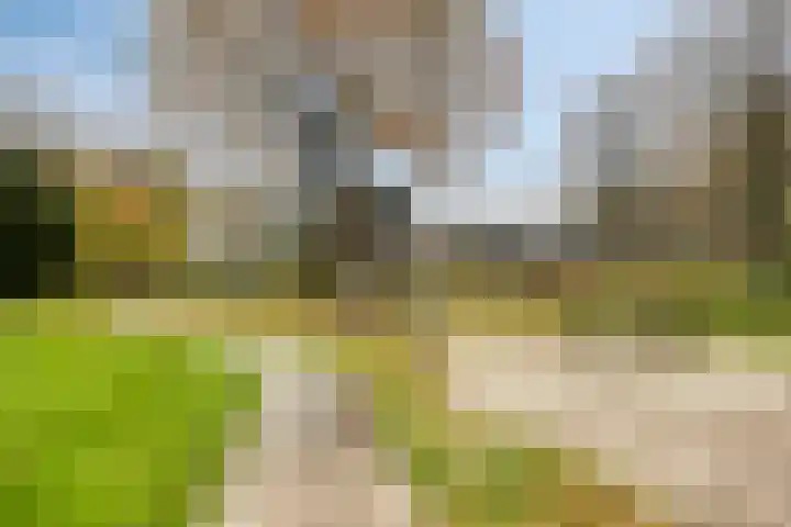Koningin Julianastraat 80 Smilde thumbnail 33