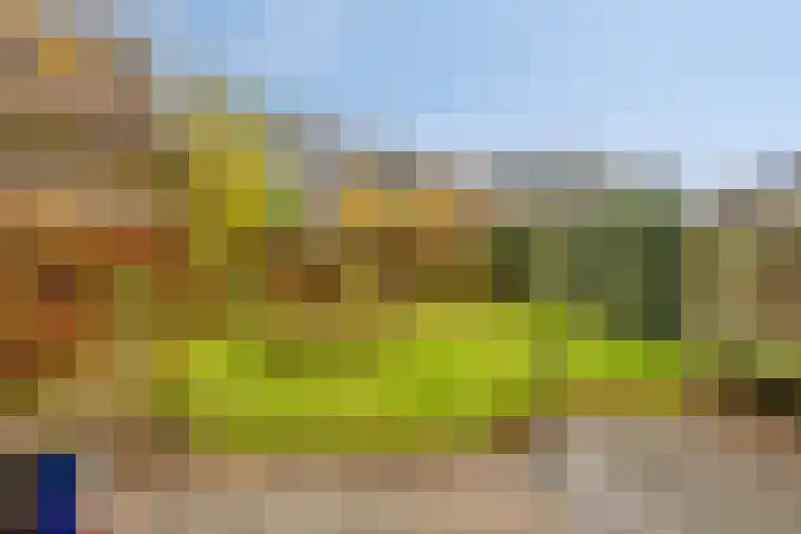 Koningin Julianastraat 80 Smilde thumbnail 5
