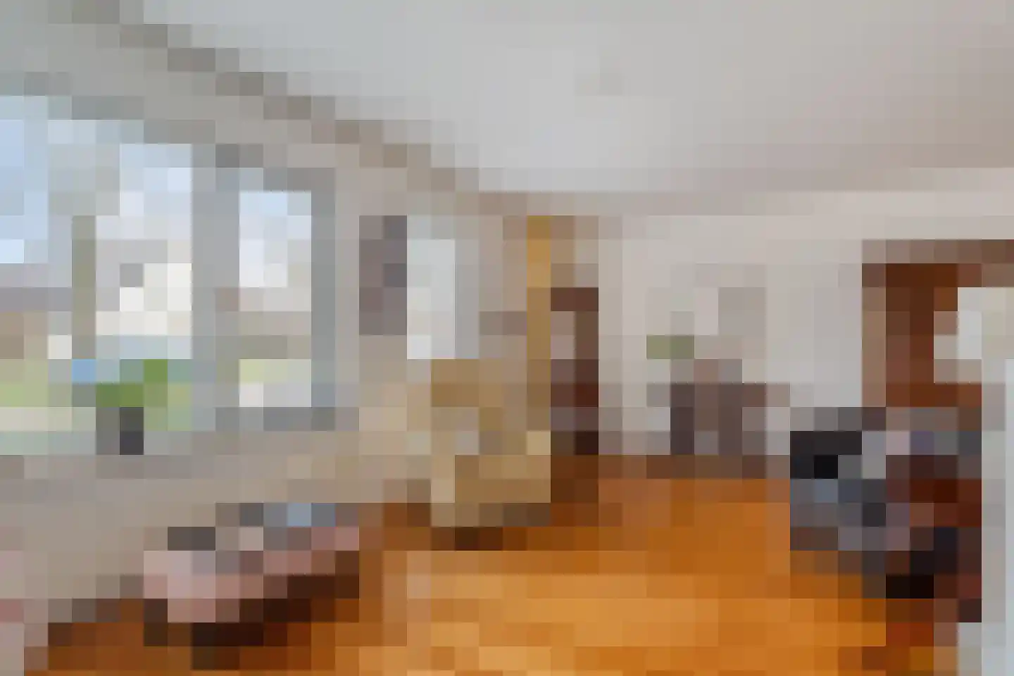 Koningin Julianastraat 9 Nunspeet thumbnail 15