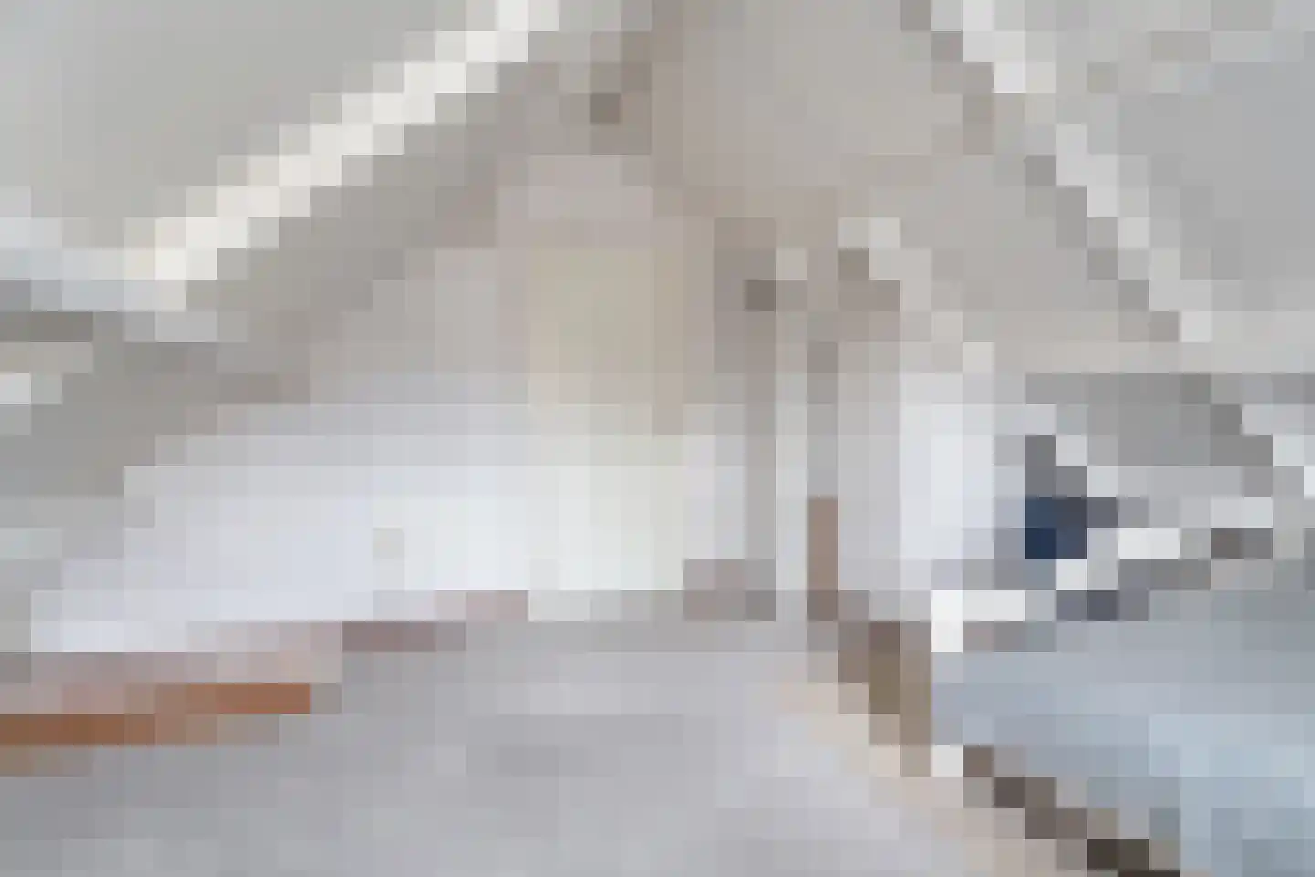 Koningin Julianastraat 9 Nunspeet thumbnail 41