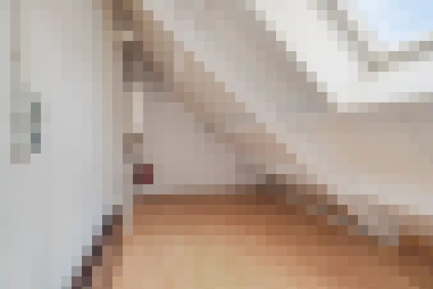 Koningin Julianastraat 9 Nunspeet thumbnail 42
