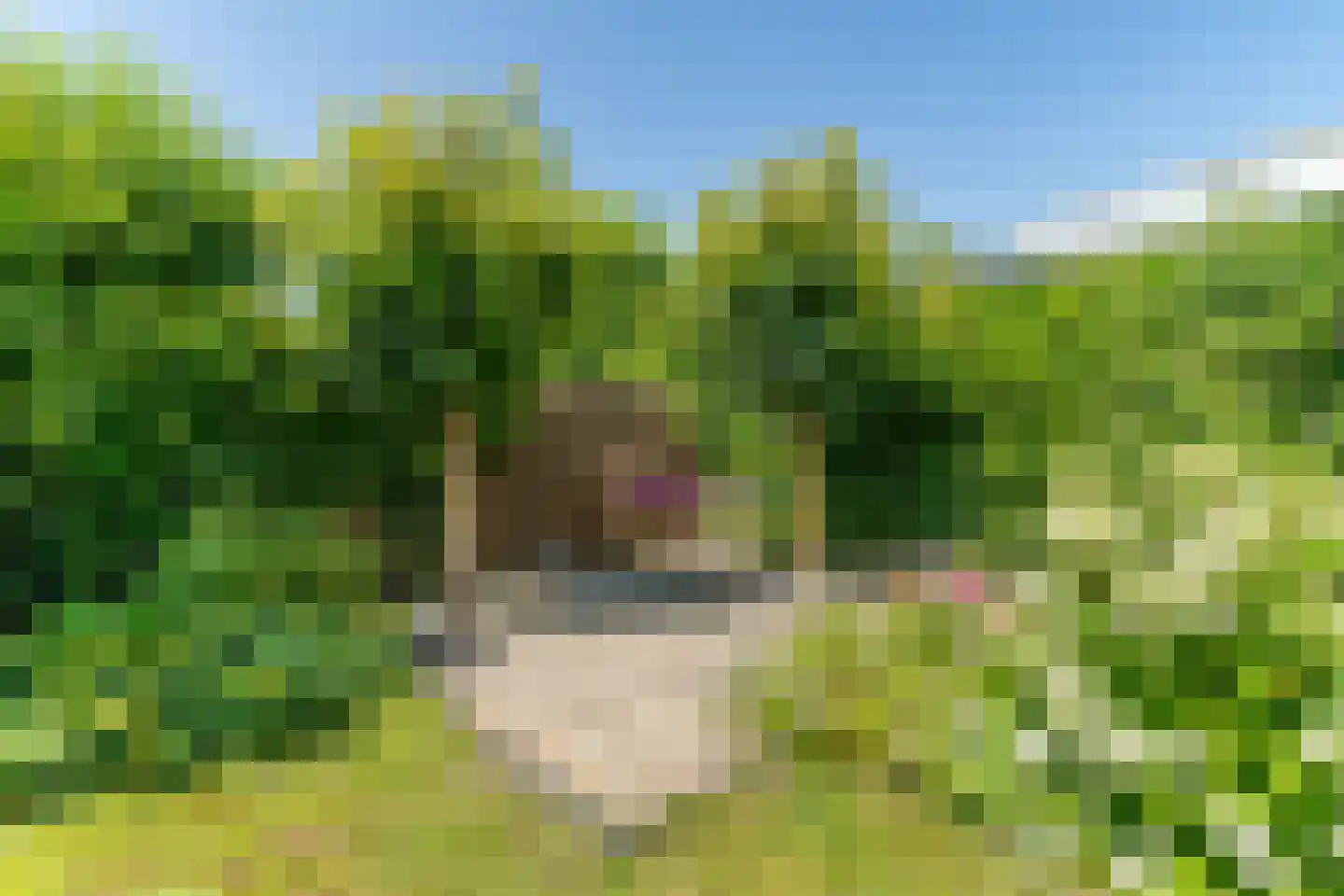 Koningin Julianastraat 9 Nunspeet thumbnail 45