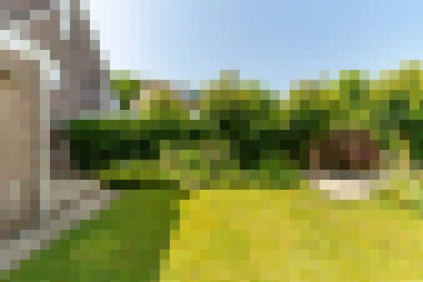 Koningin Julianastraat 9 Nunspeet thumbnail 48