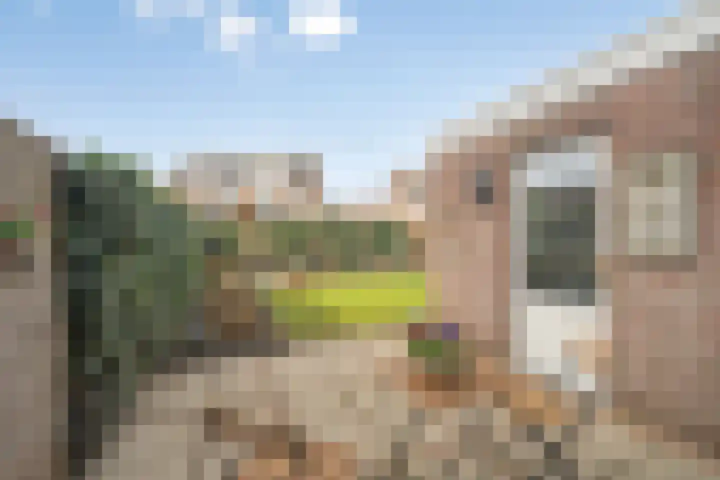 Koningin Julianastraat 9 Nunspeet thumbnail 51
