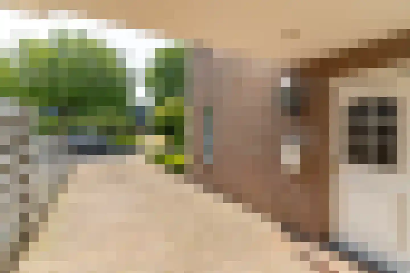 Koningin Julianastraat 9 Nunspeet thumbnail 8