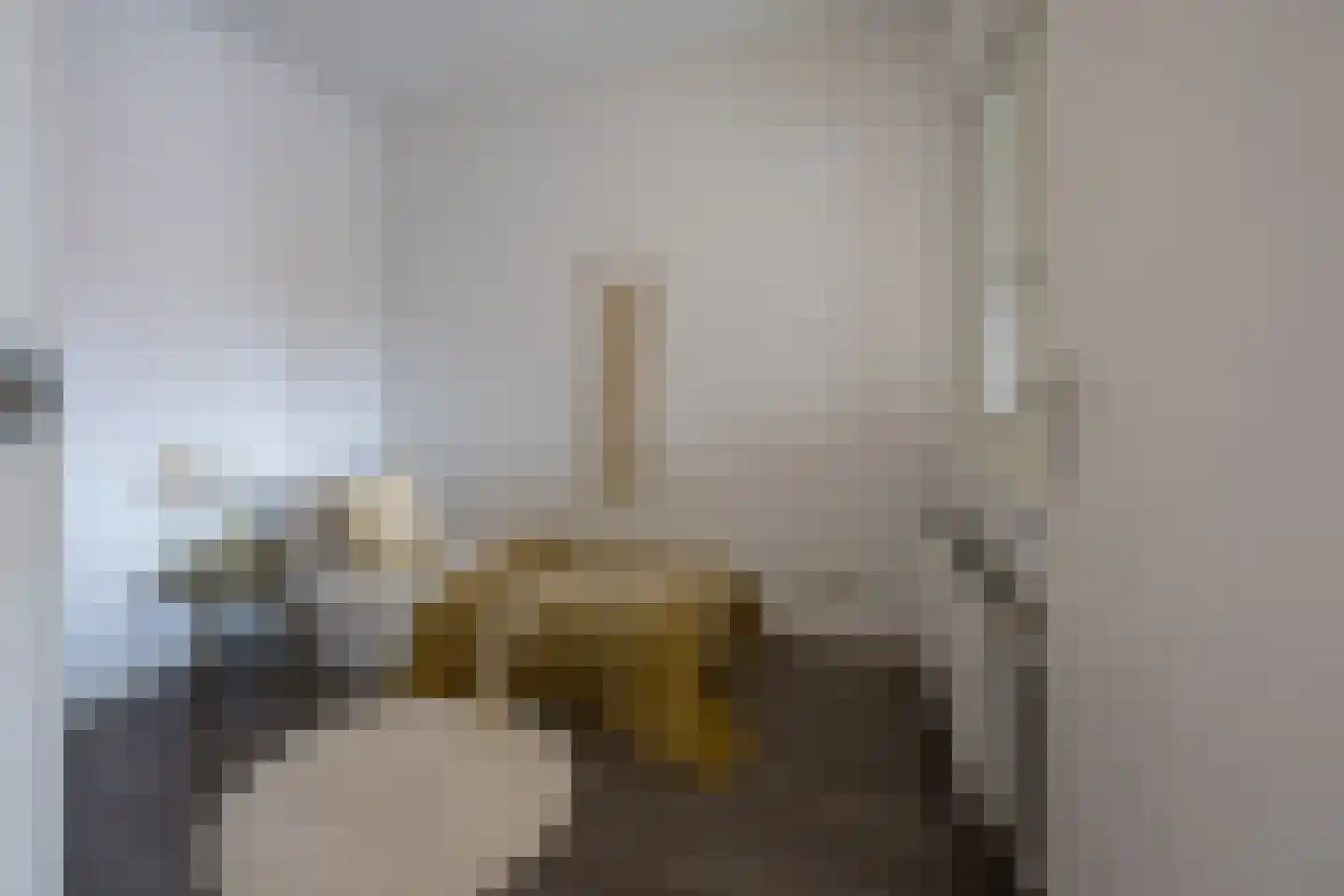Koningin Julianaweg 13 A Best thumbnail 20