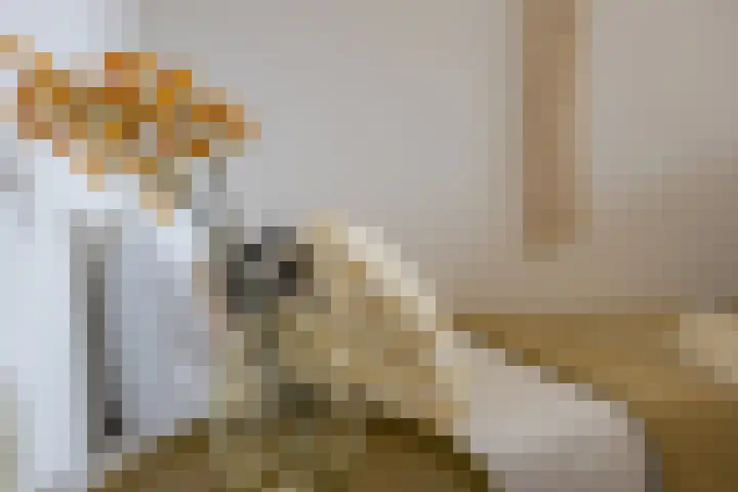 Koningin Julianaweg 13 A Best thumbnail 23