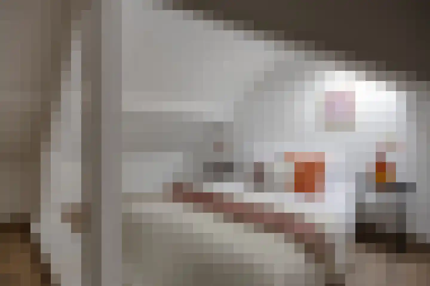 Koningin Julianaweg 13 A Best thumbnail 30