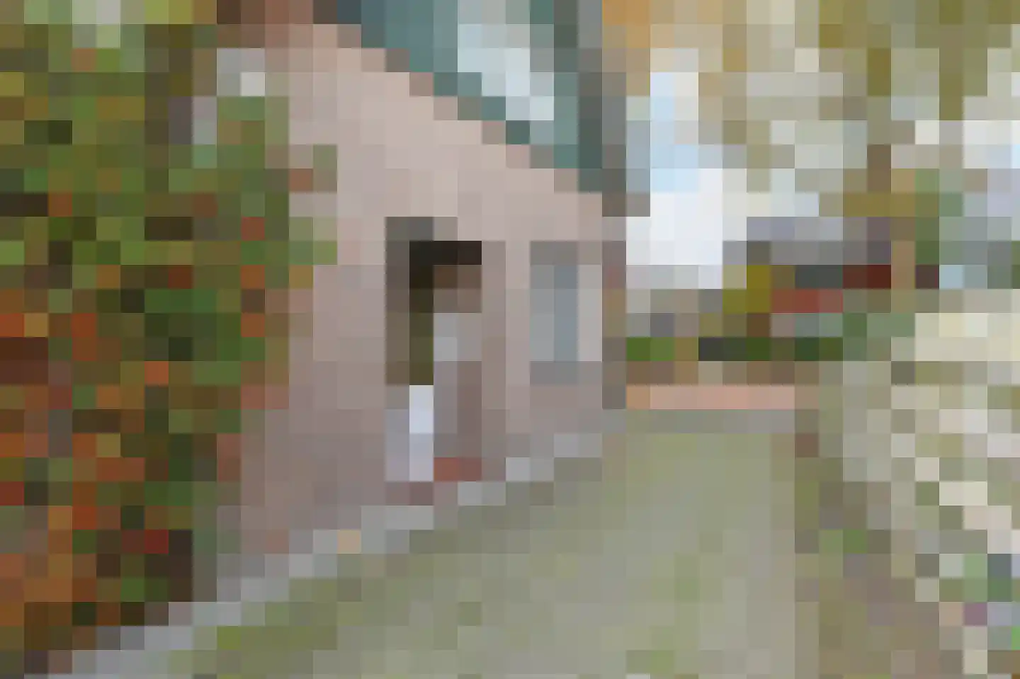 Koningin Julianaweg 130 Leidschendam thumbnail 5