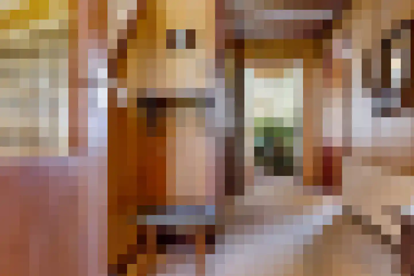 Koningin Julianaweg 138 Leidschendam thumbnail 18
