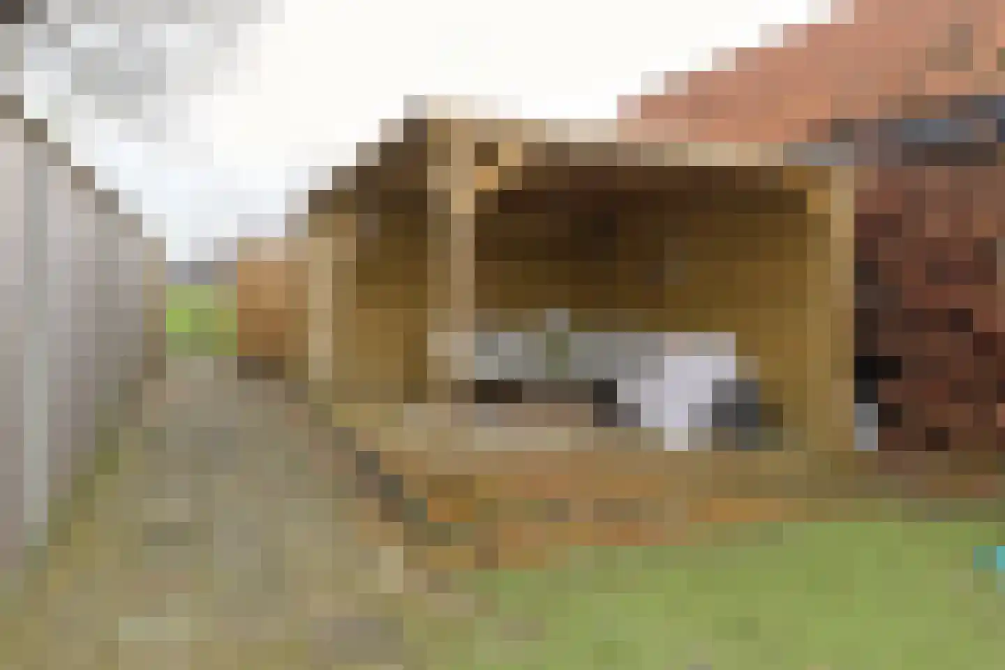 Koningin Julianaweg 14 Scheerwolde thumbnail 23