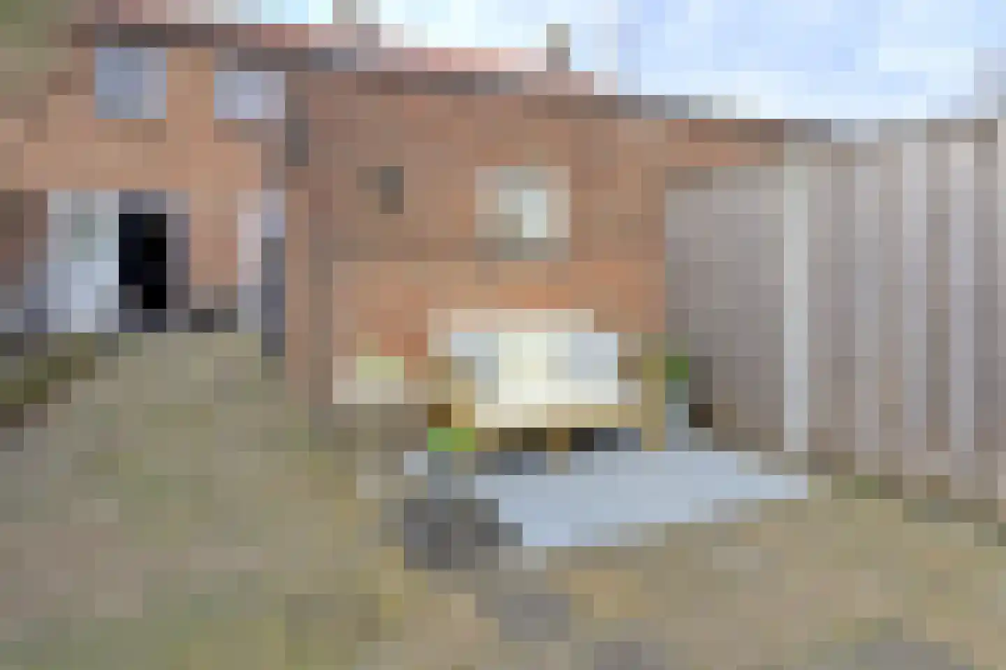 Koningin Julianaweg 14 Scheerwolde thumbnail 25