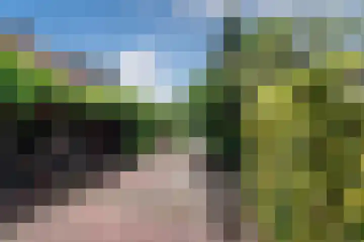 Koningin Julianaweg 150 Leidschendam thumbnail 17