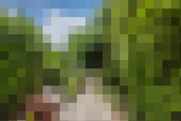 Koningin Julianaweg 150 Leidschendam thumbnail 18