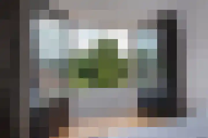 Koningin Julianaweg 150 Leidschendam thumbnail 23