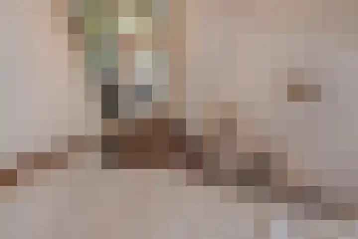 Koningin Julianaweg 150 Leidschendam thumbnail 35