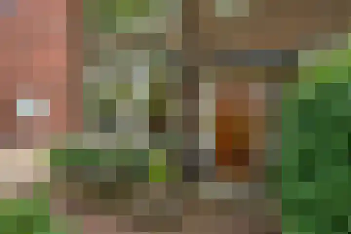 Koningin Julianaweg 150 Leidschendam thumbnail 37