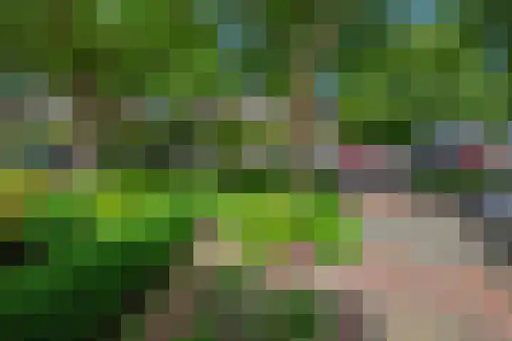 Koningin Julianaweg 150 Leidschendam thumbnail 38