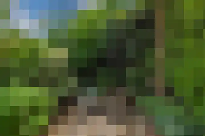 Koningin Julianaweg 150 Leidschendam thumbnail 39