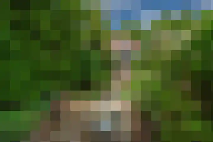 Koningin Julianaweg 150 Leidschendam thumbnail 40