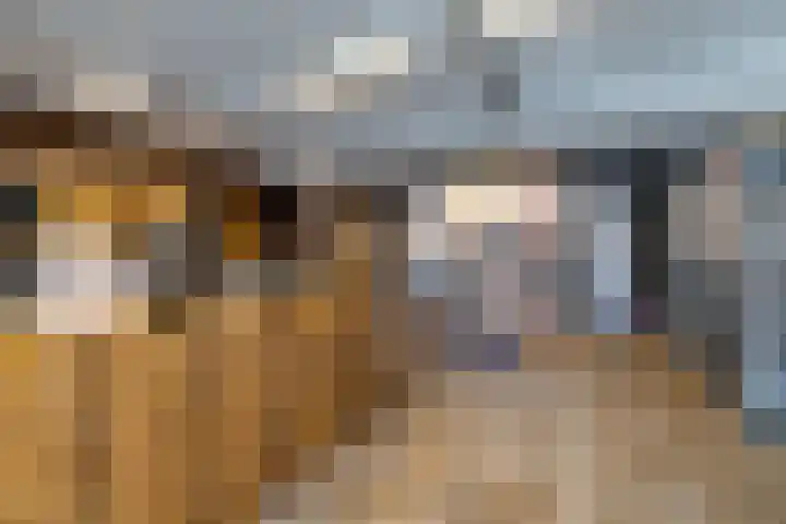 Koningin Julianaweg 17 Heerenveen thumbnail 11