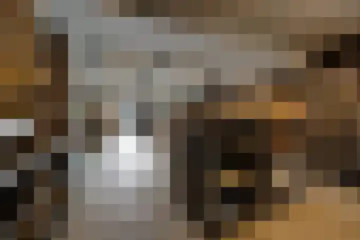 Koningin Julianaweg 17 Heerenveen thumbnail 15