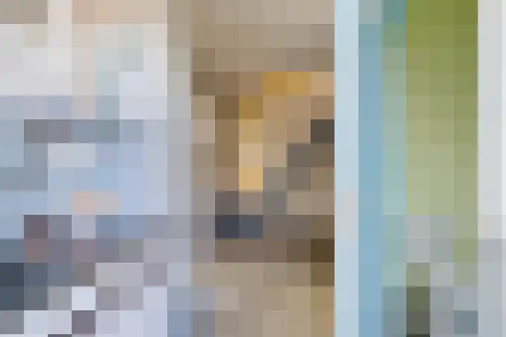 Koningin Julianaweg 17 Heerenveen thumbnail 18