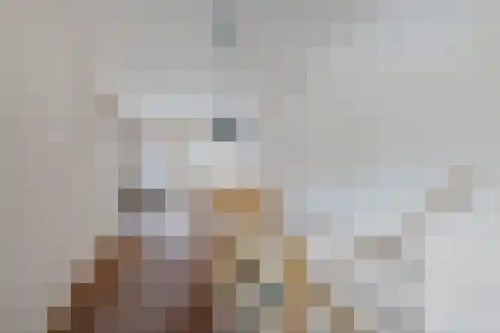 Koningin Julianaweg 17 Heerenveen thumbnail 23