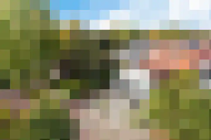 Koningin Julianaweg 17 Heerenveen thumbnail 4
