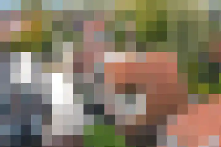 Koningin Julianaweg 17 Heerenveen thumbnail 5